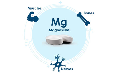 Pharma Nord BioActive Magnesium 150 Tablets