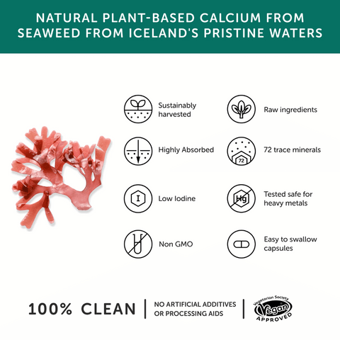 Together Health Oceanpure Calcium 60Caps