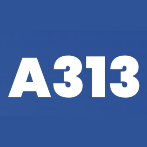 A313