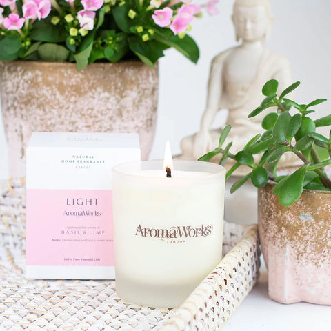 AromaWorks Light Range Basil & Lime Medium Candle