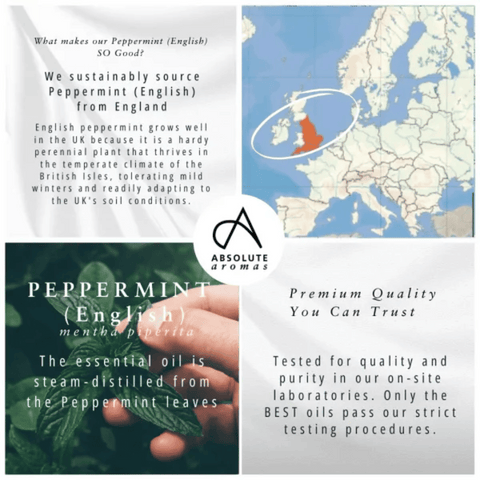 Absolute Aromas Peppermint English 10ml
