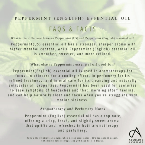 Absolute Aromas Peppermint English 10ml