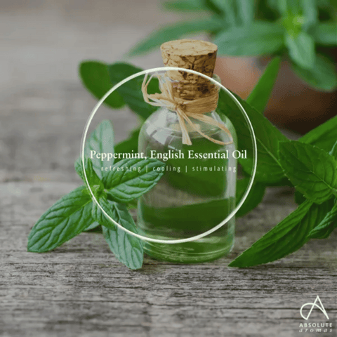 Absolute Aromas Peppermint English 10ml